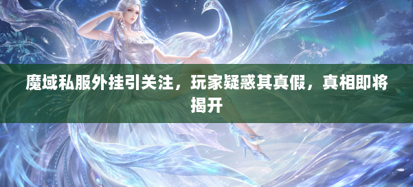 魔域私服外挂引关注,玩家疑惑其真假,真相即将揭开 第2张 魔域私服外挂引关注,玩家疑惑其真假,真相即将揭开 第2张